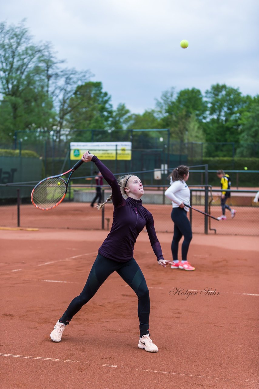 Bild 435 - NL VfL Westercelle - SVE Wiefelstede : Ergebnis: 8:1